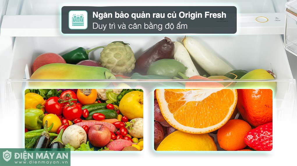 Tủ Lạnh Toshiba Inverter 411 Lít GR-RT559WE-PMV(58)-MM - công nghệ bảo quản thực phẩm